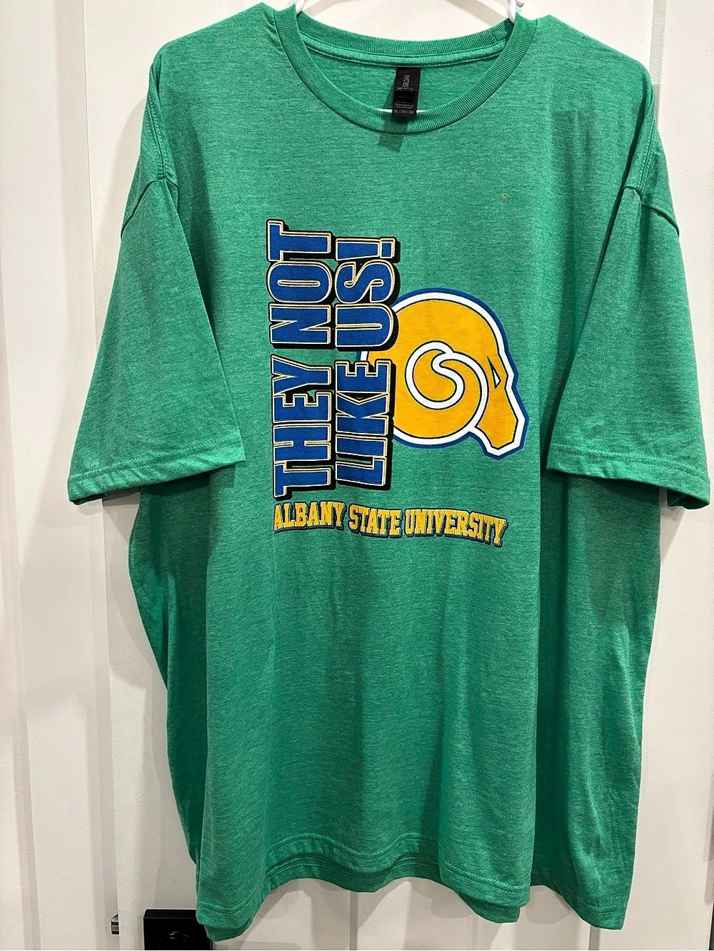 Gildan They Not Like Us Albany State University graphic tee Graphic Tee in Green